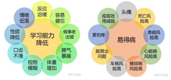 郑州师范教务处职能与作用解析