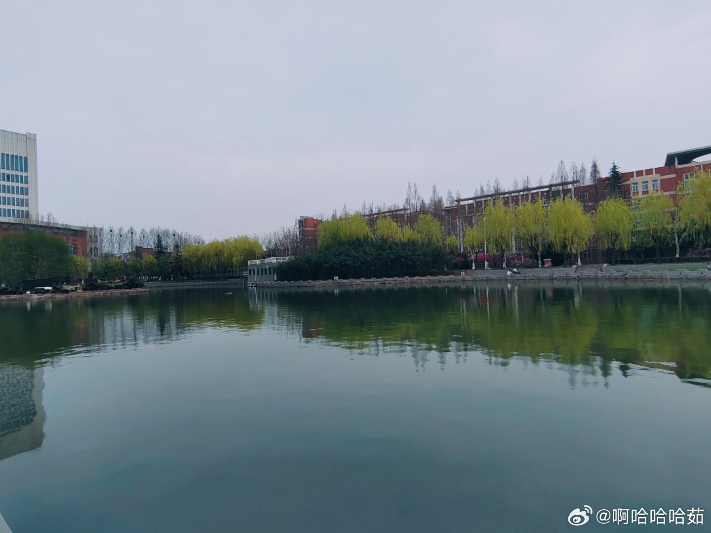 郑州师范学院返校之路，重逢的美好瞬间期待已久