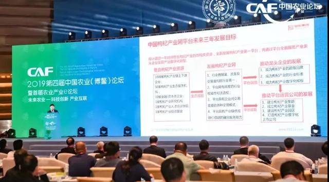 郑州师范学院在线咨询，探索数字化现代教育服务路径