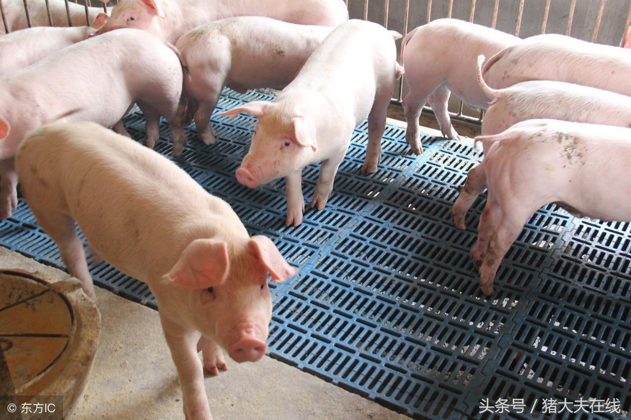 郑州疫情封锁令解除时间详解