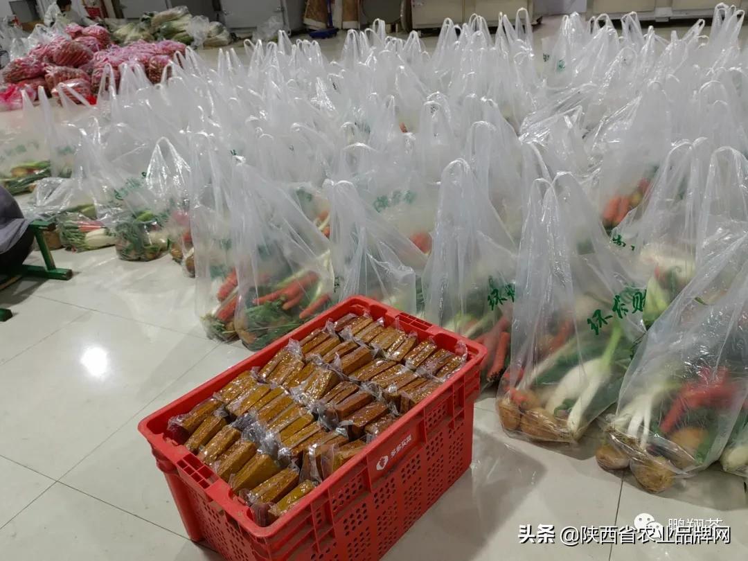 香港与大陆携手抗疫,共克时艰前行 香港与大陆携手抗疫,共克时艰前行