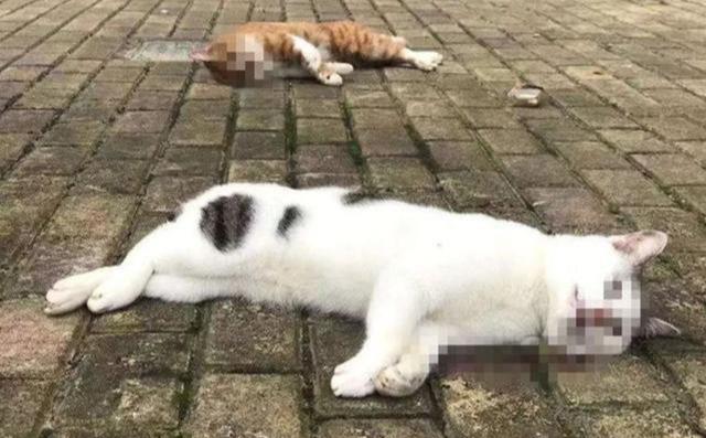 香港新冠疫情现状及其防控措施概述