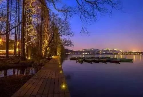 杭州大学生返杭，重逢西子湖畔的机遇与挑战时代来临