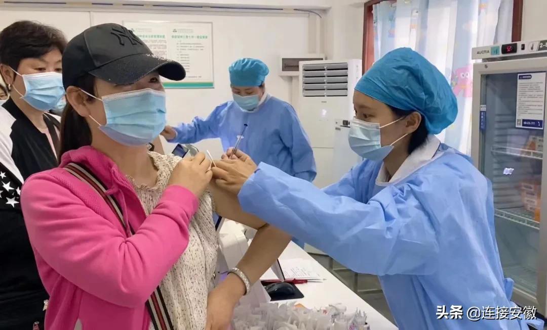 北京与安徽疫苗供应链紧密合作,疫苗纽带揭秘 北京与安徽疫苗供应链紧密合作,疫苗纽带揭秘