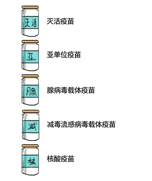 北京与安徽疫苗对比,探究两种疫苗的特点与差异 北京与安徽疫苗对比,探究两种疫苗的特点与差异