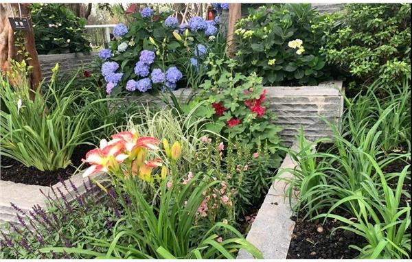 北京与上海的疫苗政策探索与实践 北京与上海的疫苗政策探索与实践