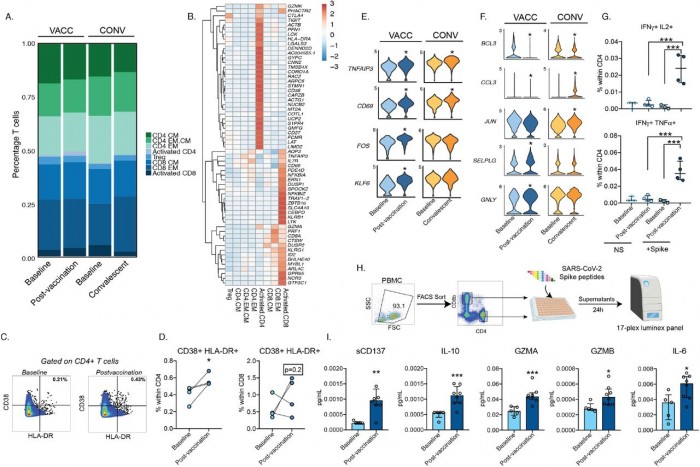 北京与上海疫苗研发应用差异探究，两地疫苗区别解析