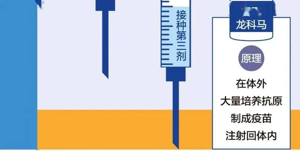 石家庄疫苗接种,北京生物的担当与力量展现 石家庄疫苗接种,北京生物的担当与力量展现