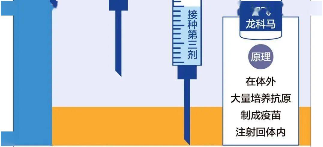解读北京疫苗停止接种背后的真相及其影响 解读北京疫苗停止接种背后的真相及其影响
