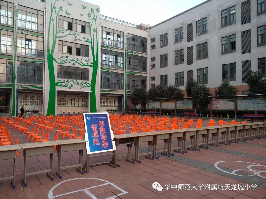 北京与武汉疫苗对比,探究两种疫苗的特点与差异 北京与武汉疫苗对比,探究两种疫苗的特点与差异