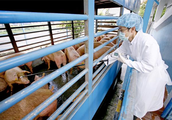 香港政府官网疫情最新动态解析与应对策略指南 香港政府官网疫情最新动态解析与应对策略指南