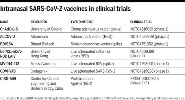 北京与兰州疫苗对比解析,优势与特点概览 北京与兰州疫苗对比解析,优势与特点概览