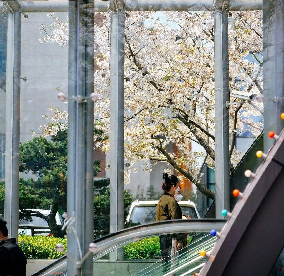 疫情下的北京与天津,挑战与希望共舞 疫情下的北京与天津,挑战与希望共舞