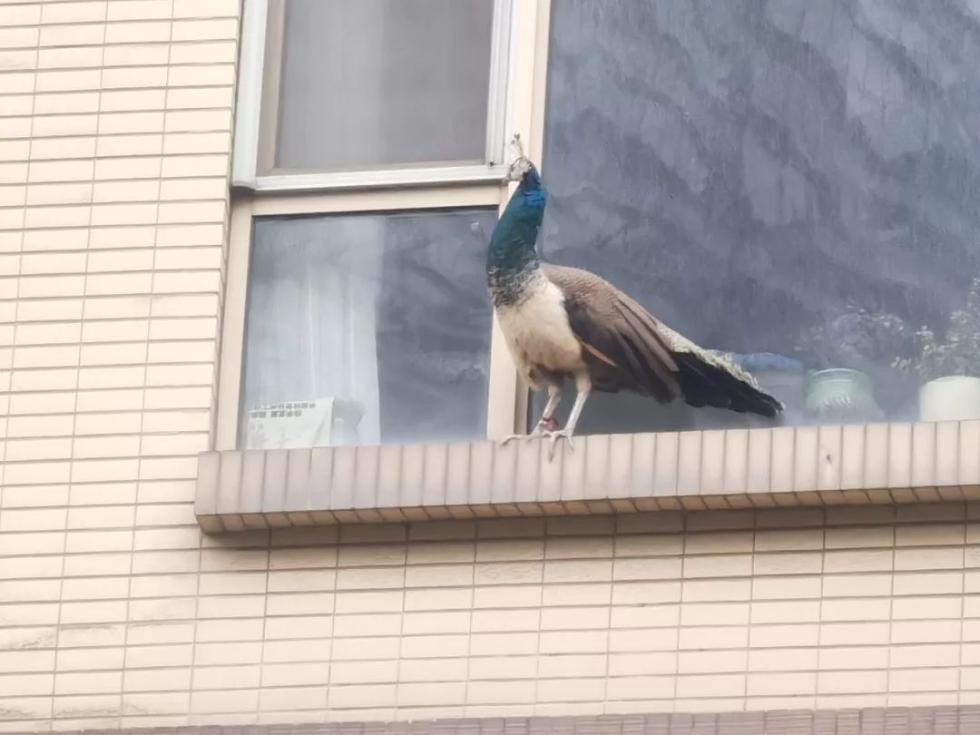 杭州疫情控制现状深度解析