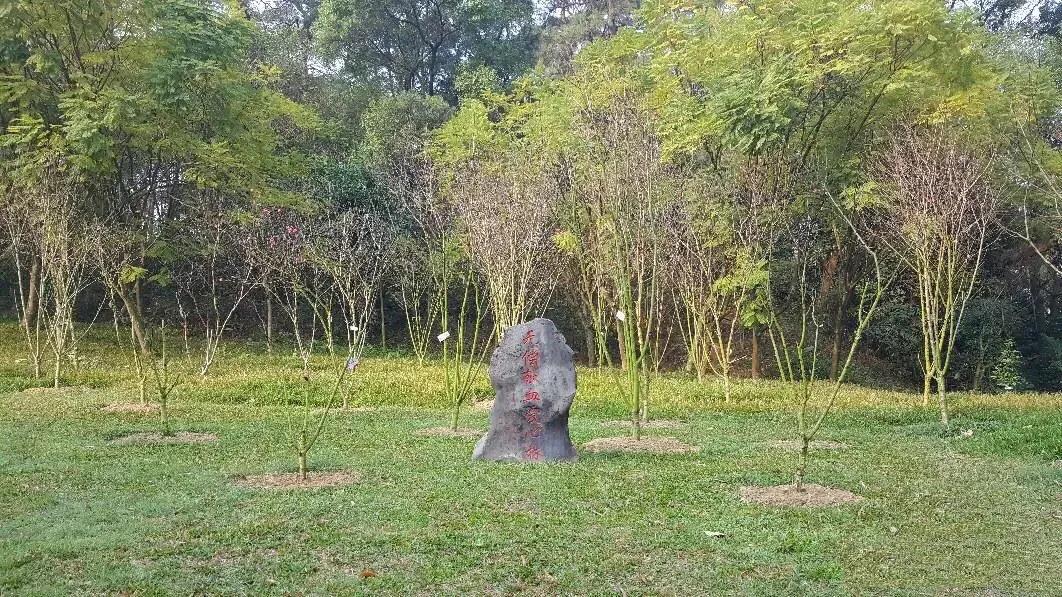 南宁疫情管制措施实施，坚决遏制疫情扩散，保障民众生命安全