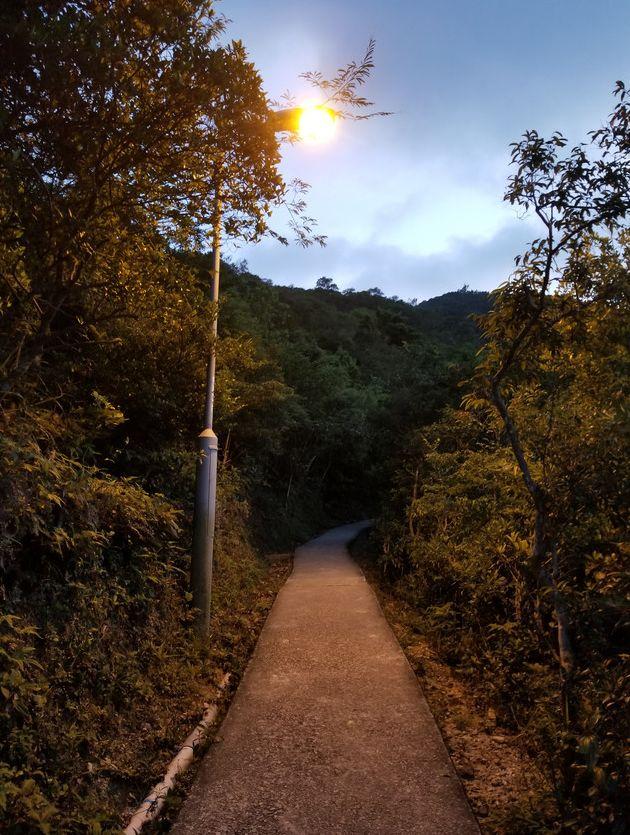 香港疫情政策与陕西最新动态概览