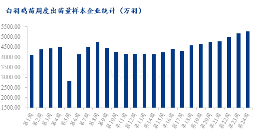 北京疫情解封时间预测与影响因素探讨