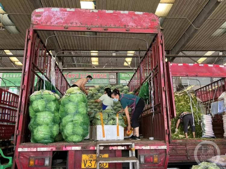 重庆解封时刻,期待与行动的交织 重庆解封时刻,期待与行动的交织