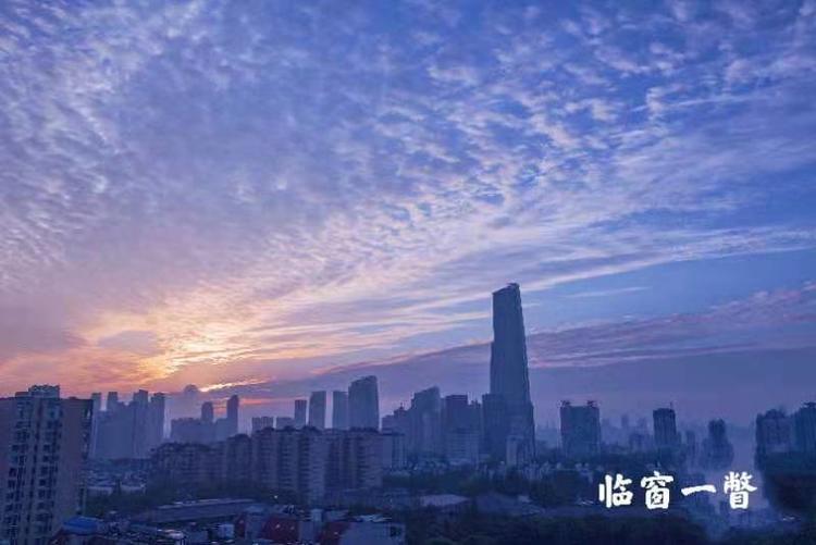 澳门逐步解封之路，曙光初现的复苏时刻