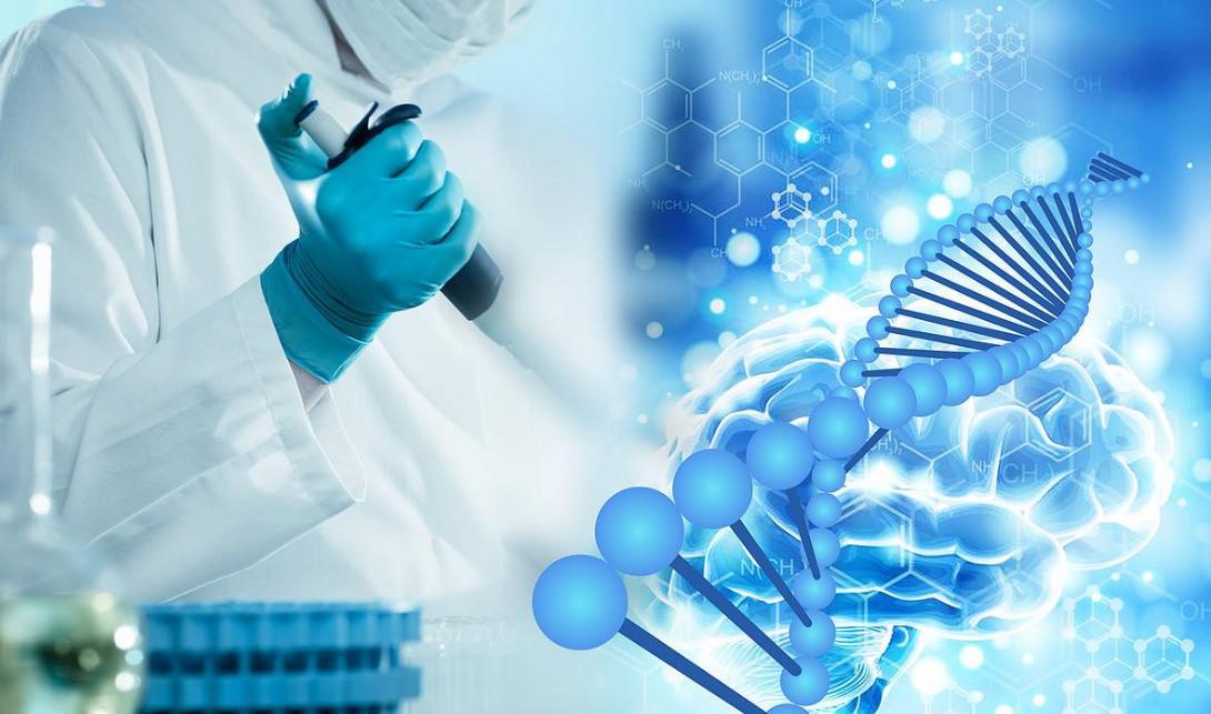 石家庄疫情解封之路,曙光何时降临? 石家庄疫情解封之路,曙光何时降临?