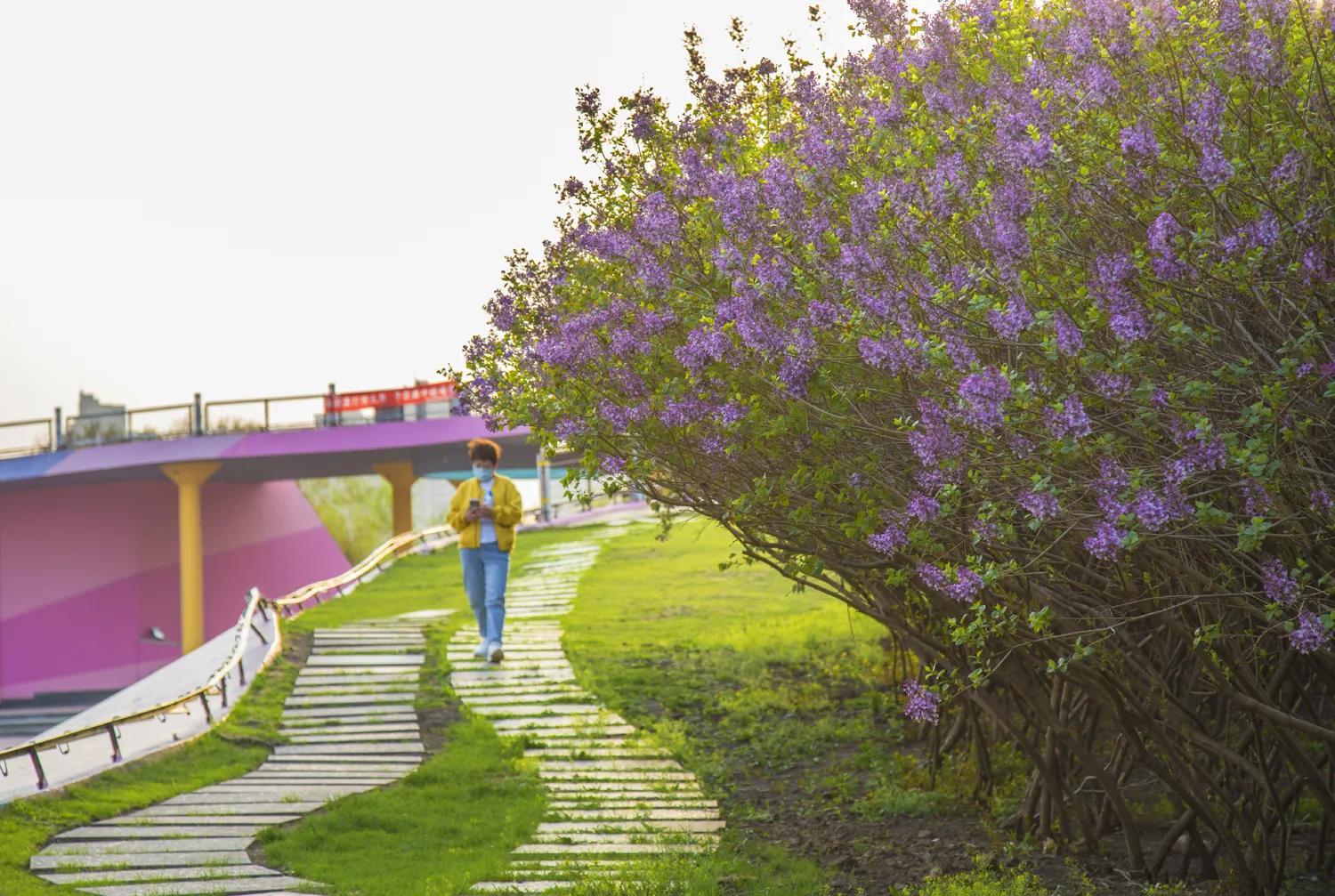 哈尔滨疫情解封时刻的期待与希望，重燃城市之光