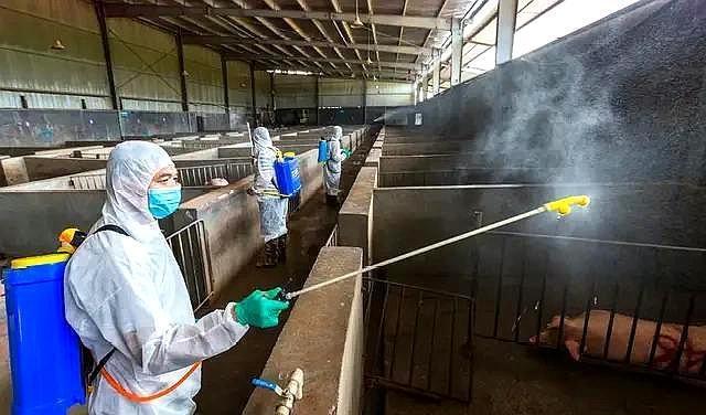 沈阳疫情下的城市解封之路，期待与探索