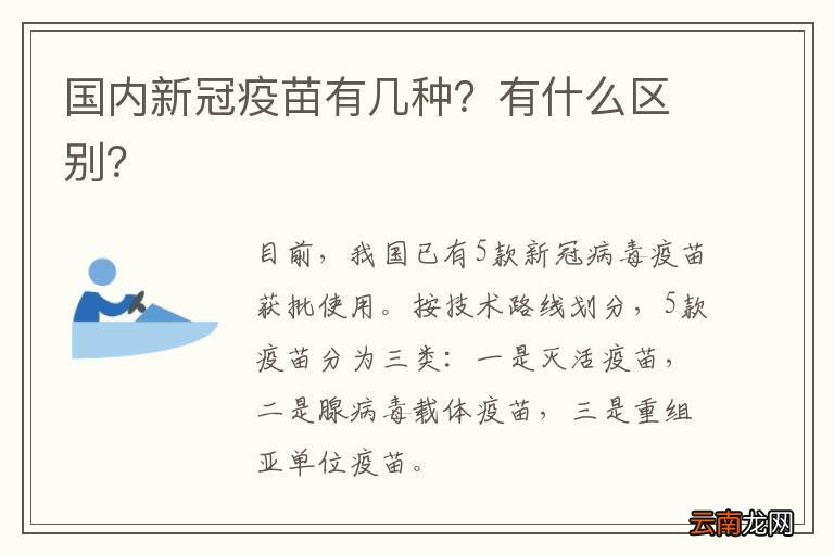 最新疫情死亡人数:最新疫情新增死亡