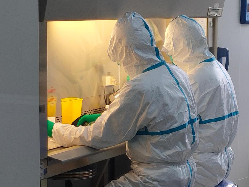 北京与成都疫情挑战及应对策略 北京与成都疫情挑战及应对策略