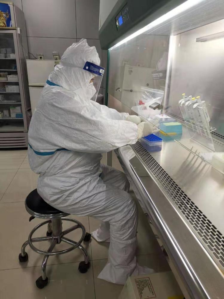 北京至济南携手防疫，共筑安全防线