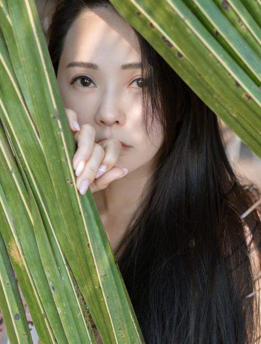 台北疫情最新数据，城市防控措施与现状报告