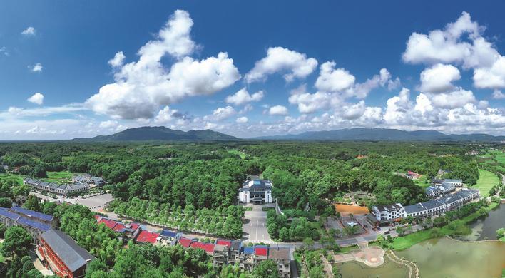 河南省疫情输入最新消息（河南省疫情输入最新消息通知）