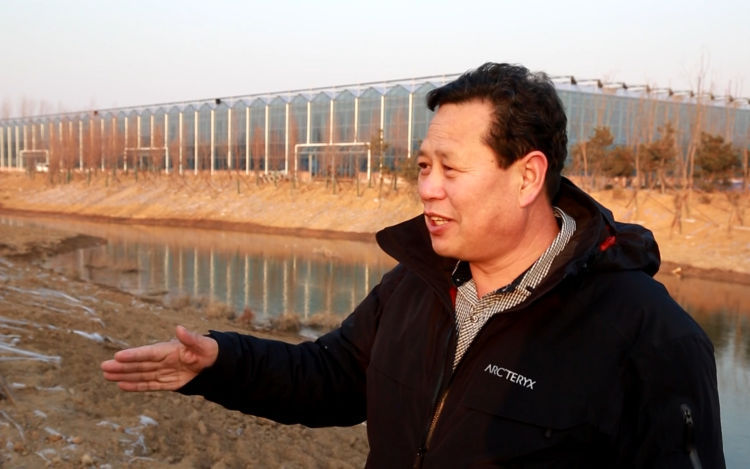 南石家庄村书记，乡村振兴的引领者