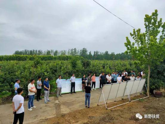 石家庄村支书喊话，新时代乡村领航者风采展