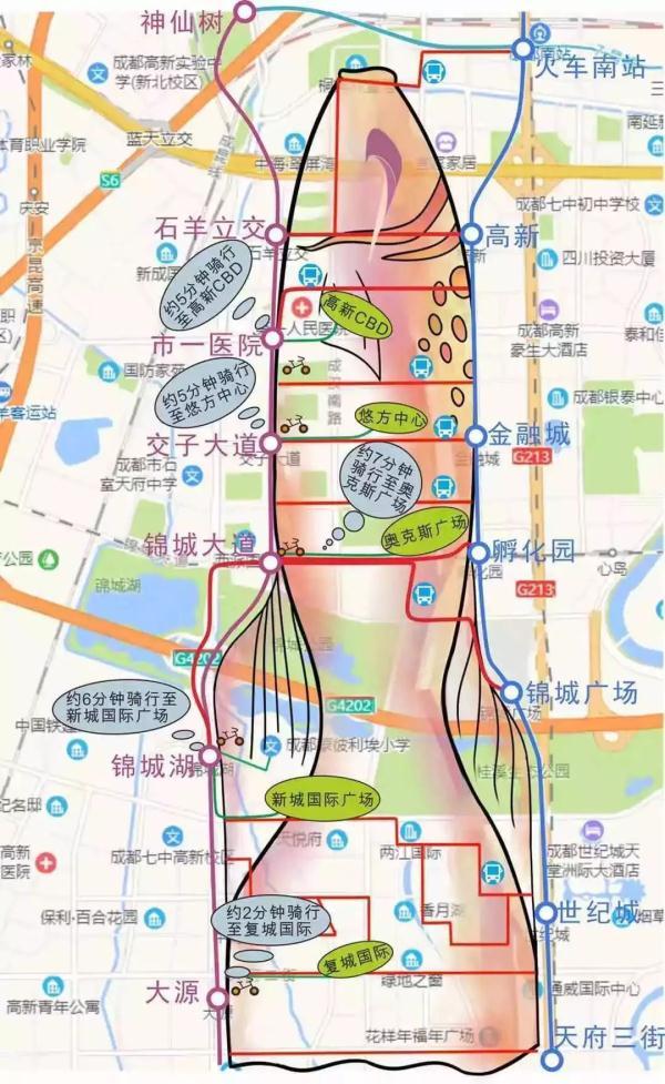 杭州地铁不戴口罩现象，挑战与应对策略