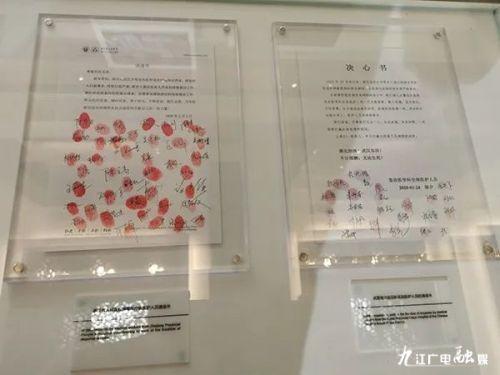 北京疫苗与疫情,湖北省的接种情况分析 北京疫苗与疫情,湖北省的接种情况分析