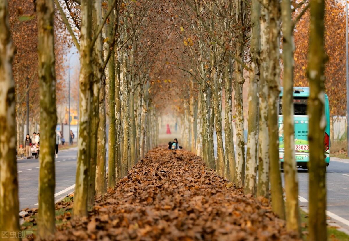 北京疫苗接种与南京预约攻略，疫情下的疫苗接种指南