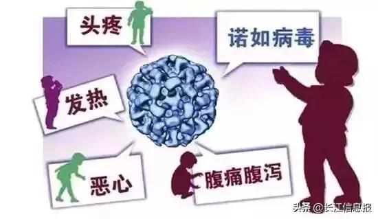 今日教程“老友漳州棋牌漳浦麻将把把输!详细分享装挂步骤
