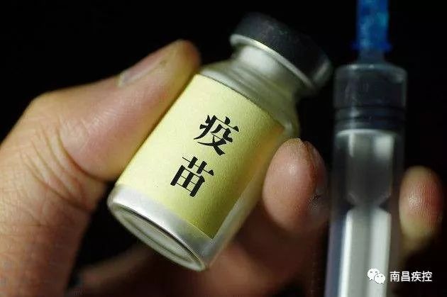 南昌疫苗情况深度解析