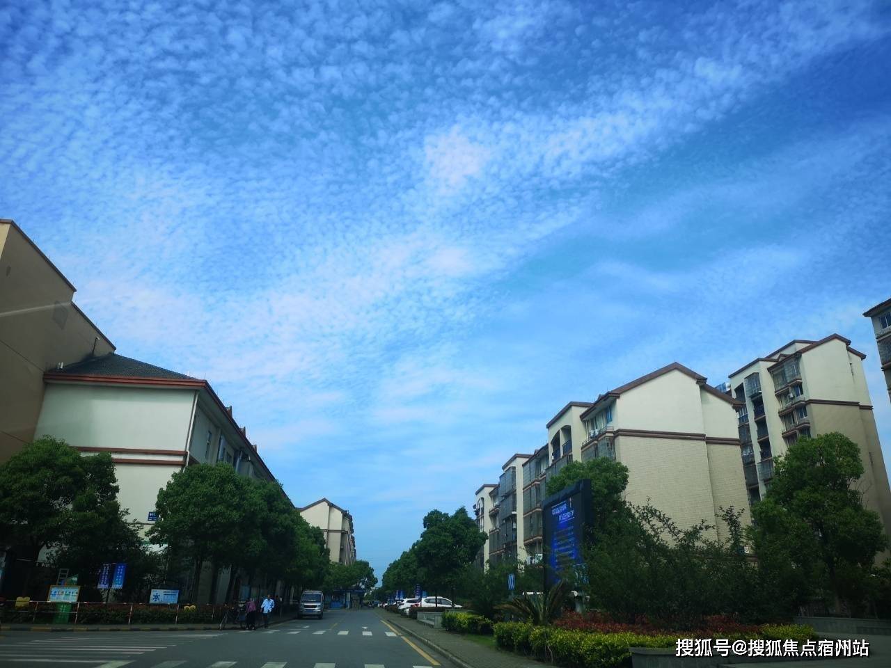 沈阳机场防疫情况深度解析