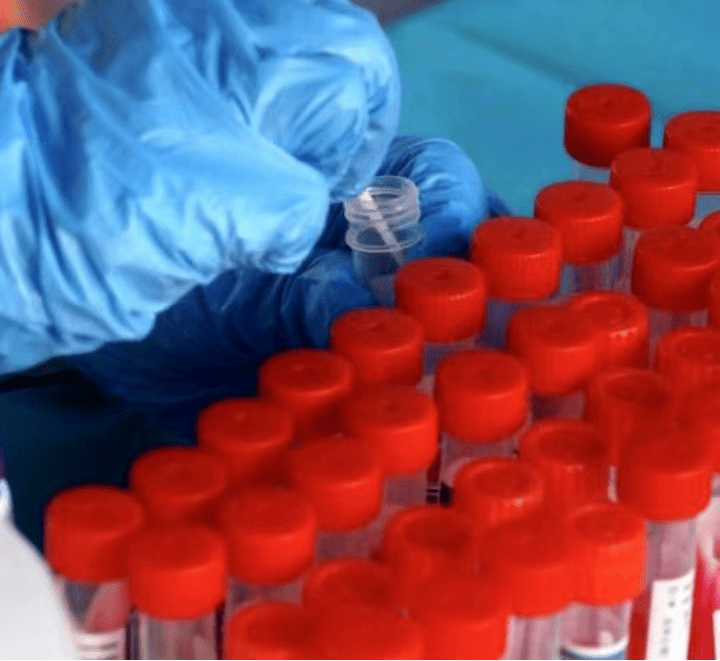 河南省新增病例动态及其地域影响分析