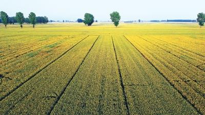 河南省疫情最新动态分析简报