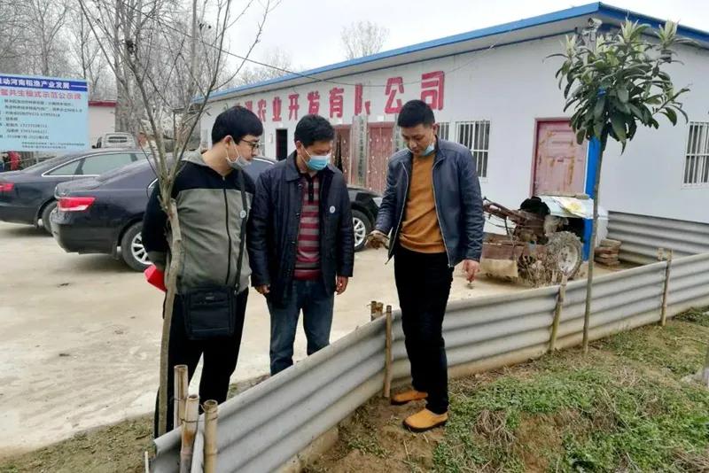 河南省疫情最新动态分析简报