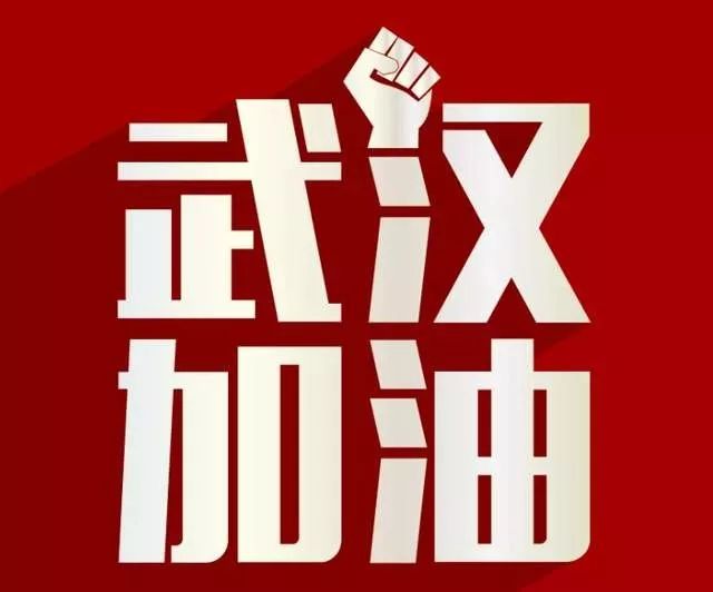 河南武汉疫情最新动态，坚守希望，共同抗击疫情