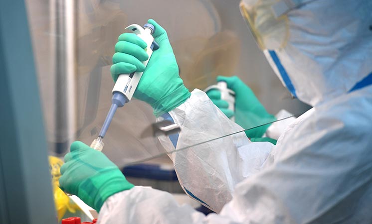 河南疫情紧急通知与上海最新动态，共同抗击疫情的关键时刻