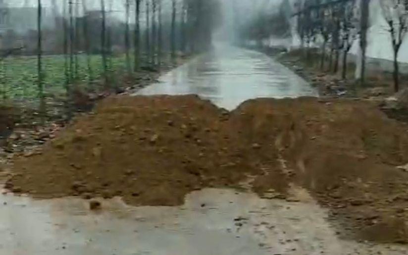 河南疫情紧急通知与南宁最新动态概览