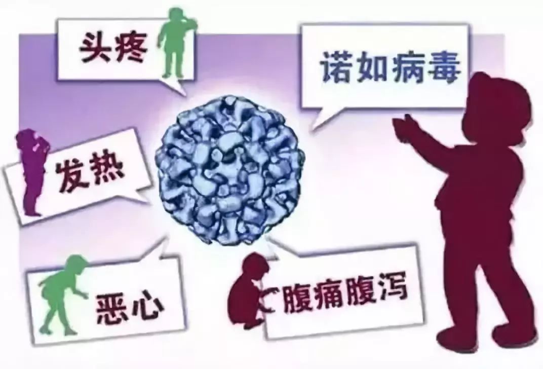 河南省疫情防控最新政策深度解析 河南省疫情防控最新政策深度解析