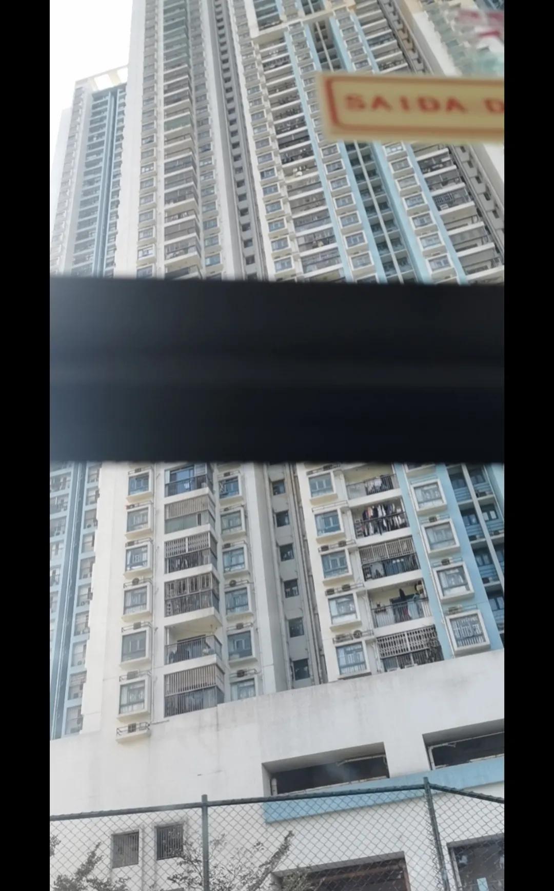 澳门疫情最新数据深度解析报告