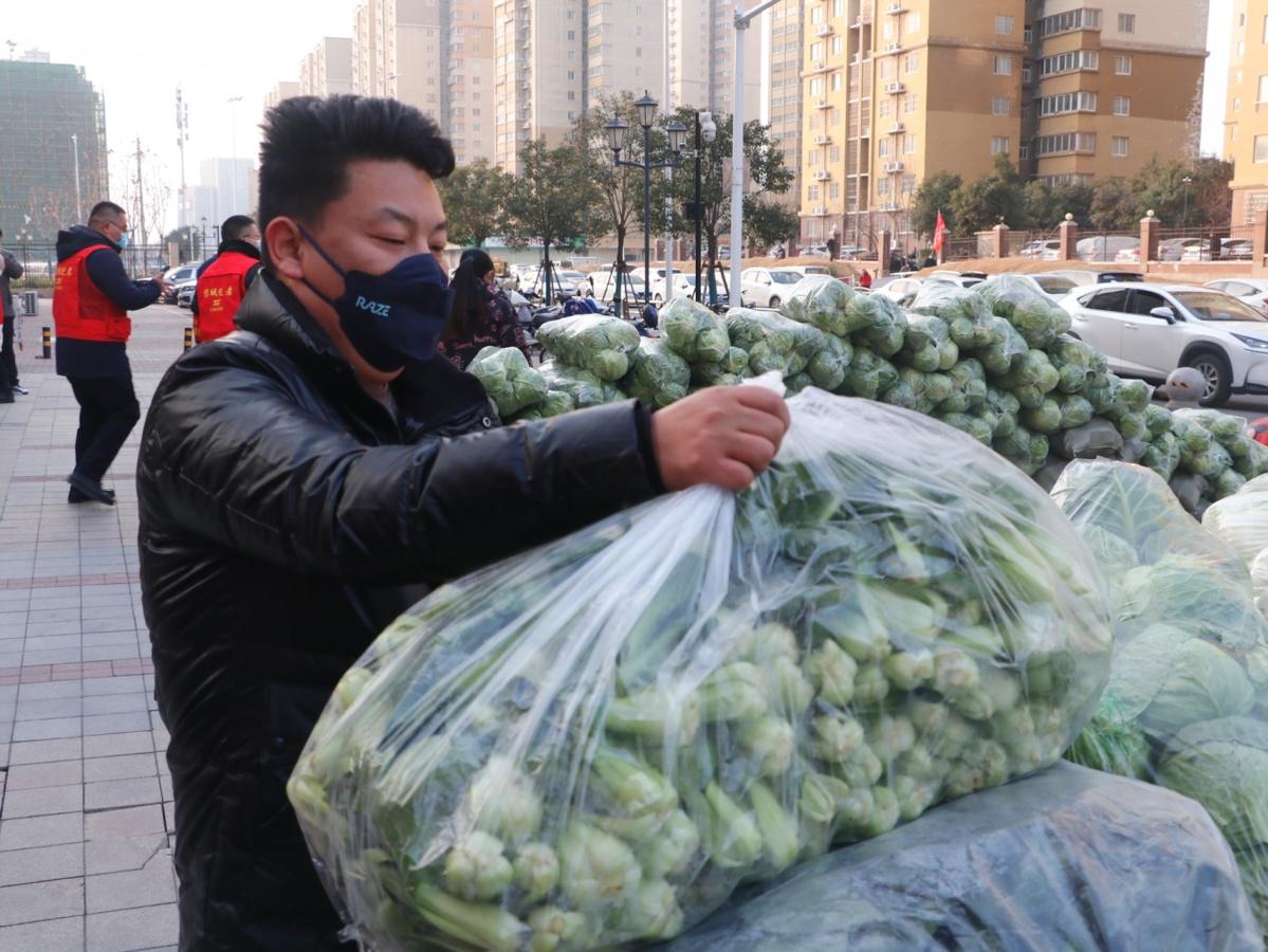 河南省疫情防控中心电话的关键作用与重要性 河南省疫情防控中心电话的关键作用与重要性