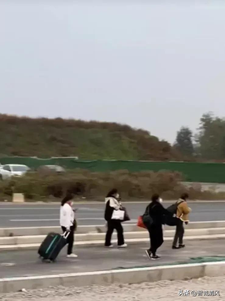 河南省疫情指挥部通告与福州最新动态概览