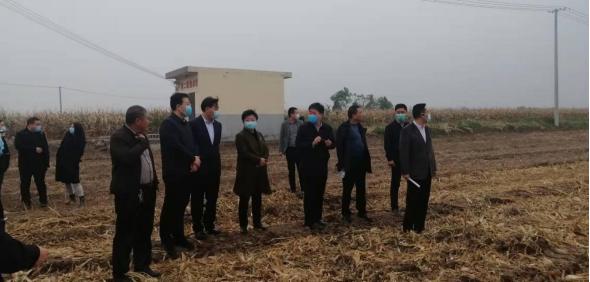 河南省与西安市疫情防控最新动态分析